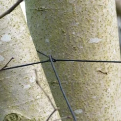 Fox - Camo Tarp -Predator shop carp tarp tied to tree