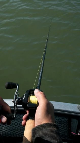 Fox Rage - Terminator Power Shad - 225cm 7' 4" 20-90g 6 Fox Rage - Terminator Power Shad - 225cm 7' 4" 20-90g - Image 6