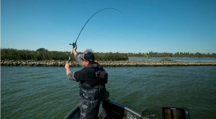 Fox Rage - Terminator Big Bait Special - 240cm 7' 10" 200g 7 Fox Rage - Terminator Big Bait Special - 240cm 7' 10" 200g - Image 7