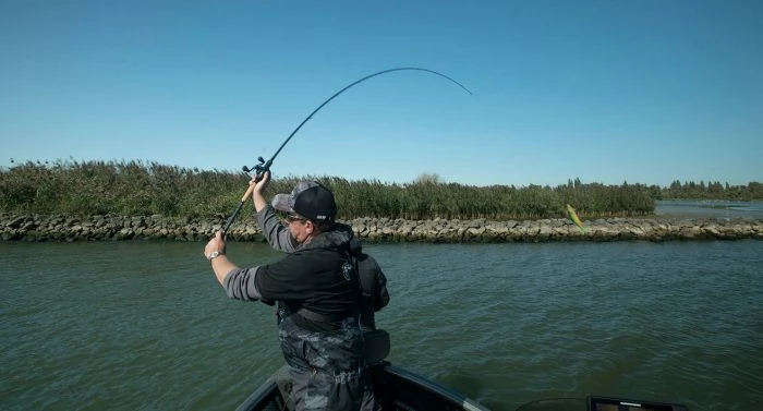 Fox Rage - Terminator Big Bait Special - 240cm 7' 10" 200g 8 Fox Rage - Terminator Big Bait Special - 240cm 7' 10" 200g - Image 8