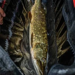 Korum - Snapper Floating Bank And Boat Sling -Predator shop pikesling88