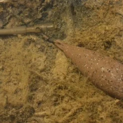 Korda - Tournament Casting Swivel Lead