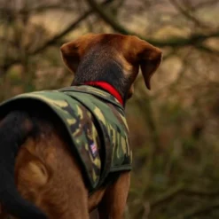 Cotswold Aquarius - Camo Dog Jacket -Predator shop untitled 2 2