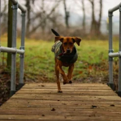 Cotswold Aquarius - Camo Dog Jacket -Predator shop untitled 7