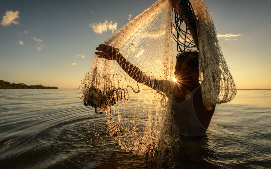 Predator shop -Predator shop A258EE7 1 1024x683 1